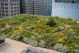 New Directions for Living Roofs and Walls